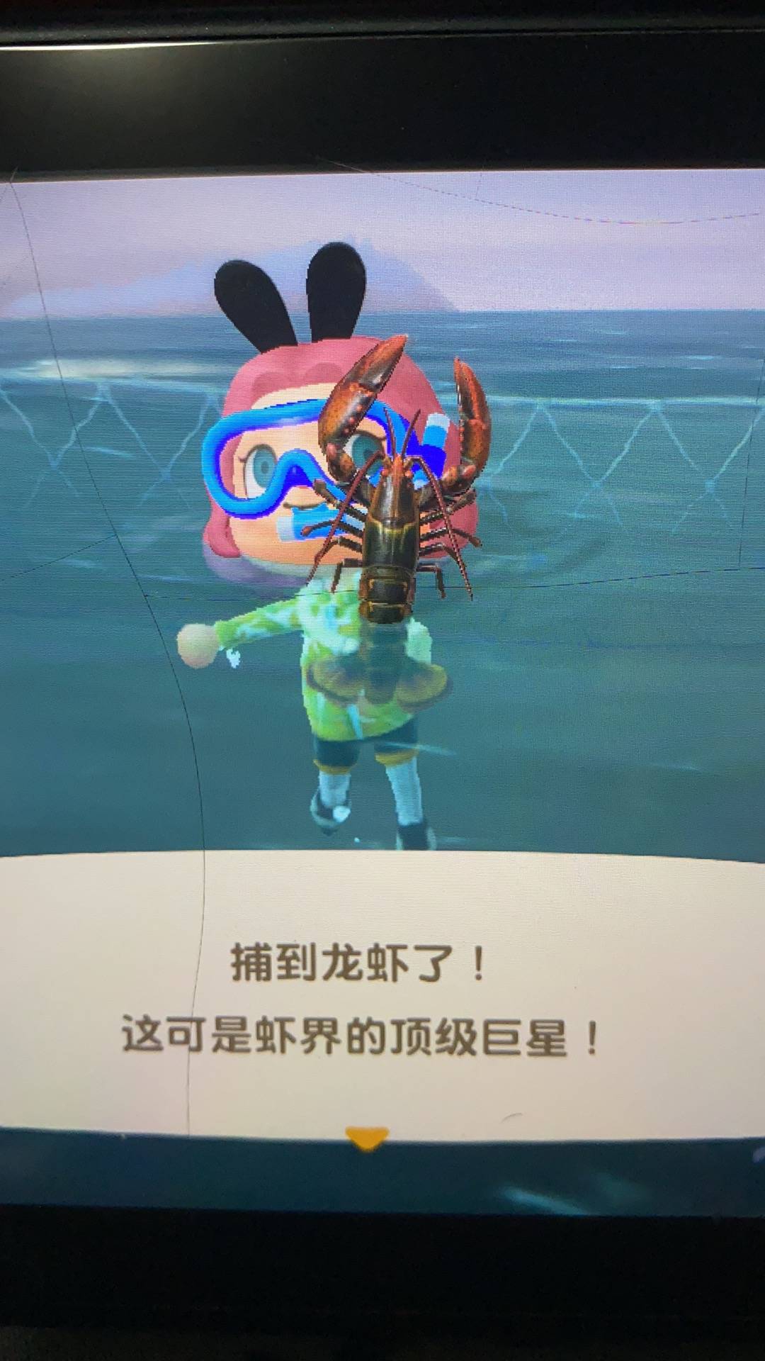 动物森友会 即刻app