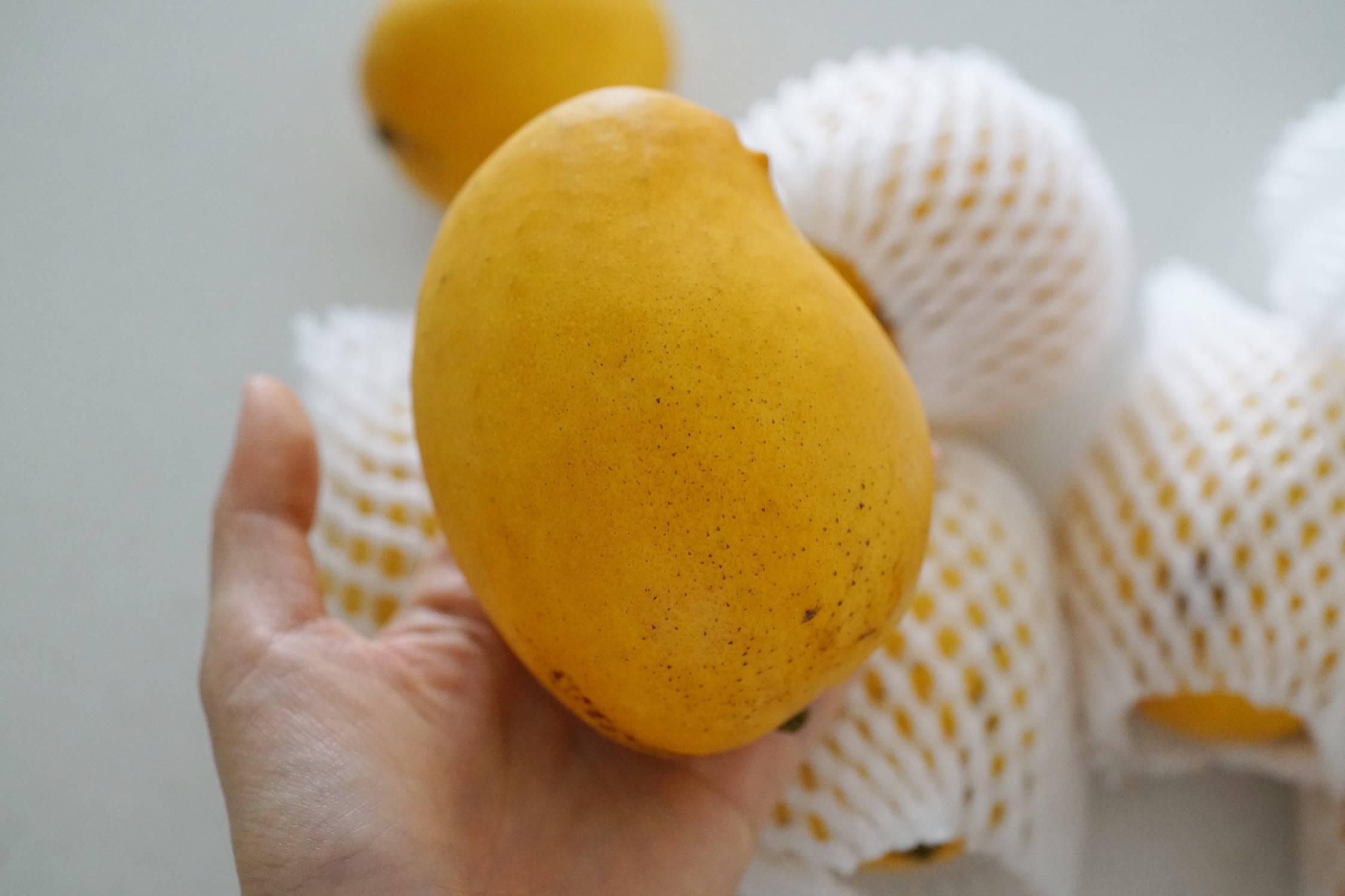 圣德龙芒果03还可以个大香甜少纤维核略大了一点点09