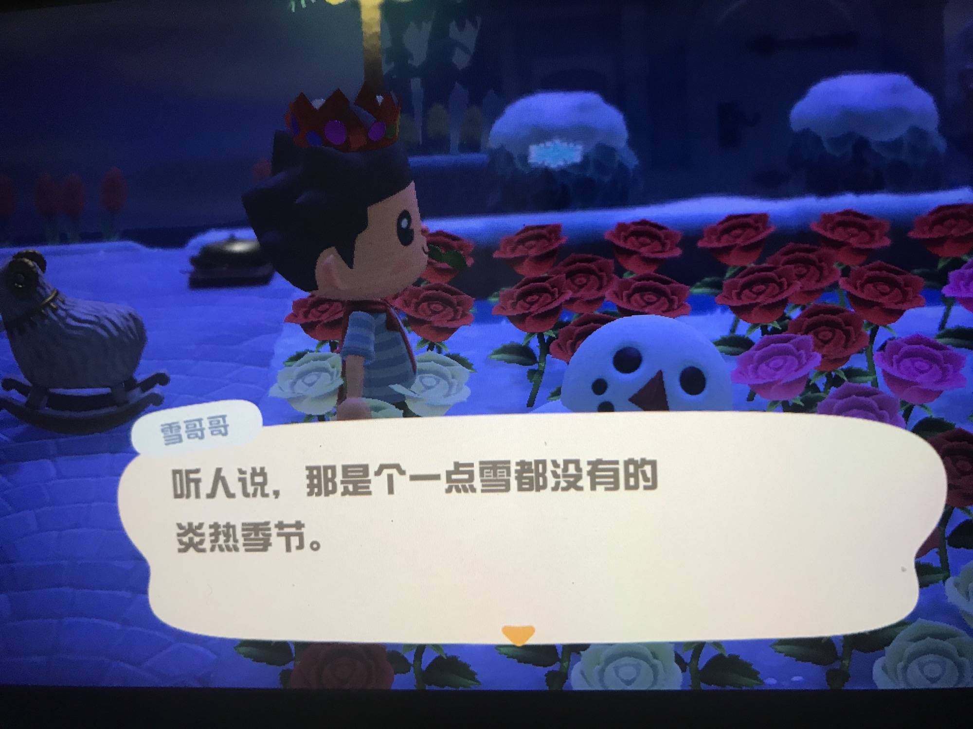 动物森友会 即刻app