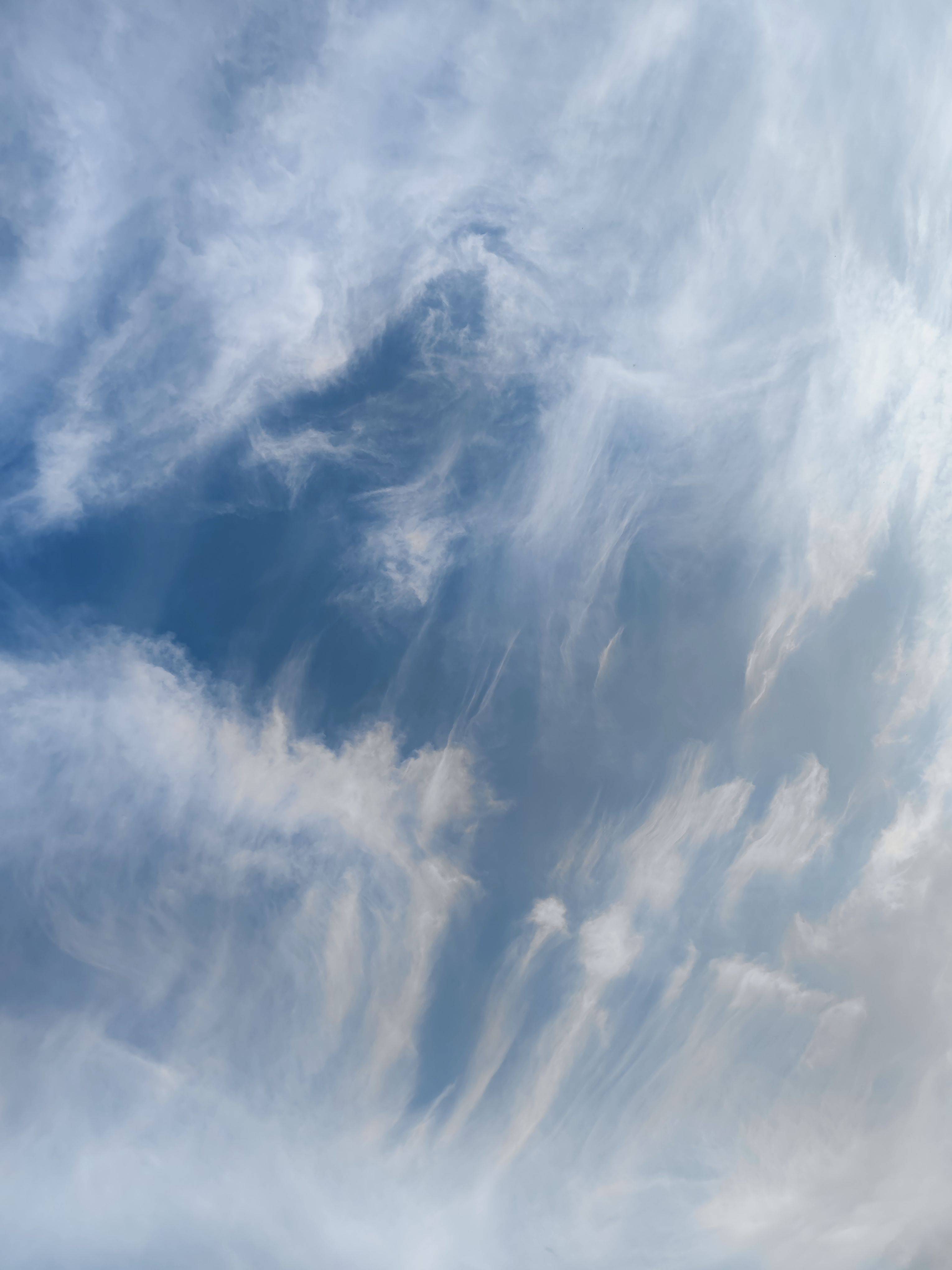 天空的毛卷云水母云有点飘逸丝滑